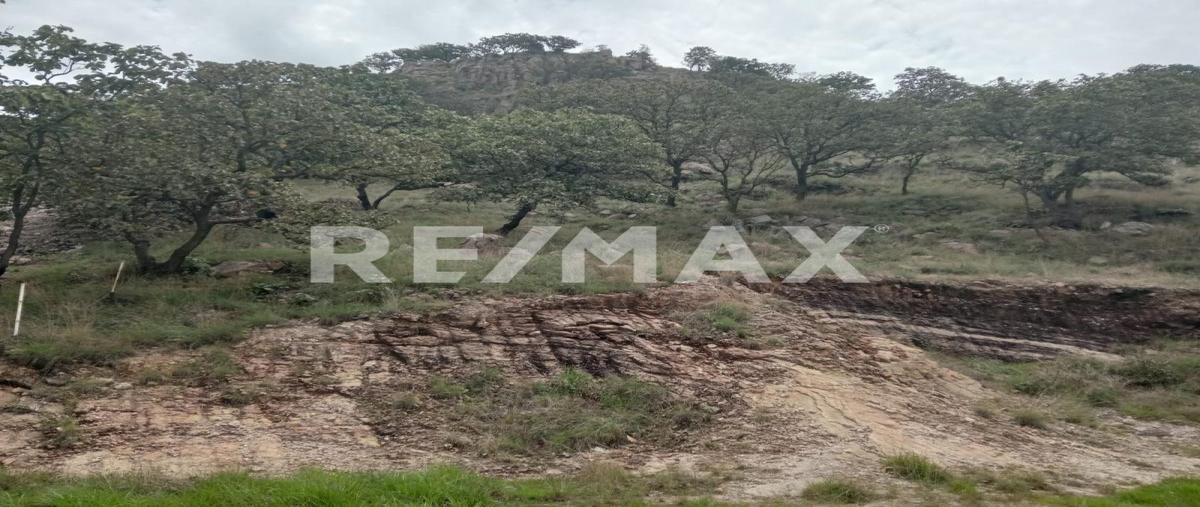 Foto de terreno habitacional en venta en higuera s/n , hacienda cópala, zapopan, jalisco, 0 No. 05