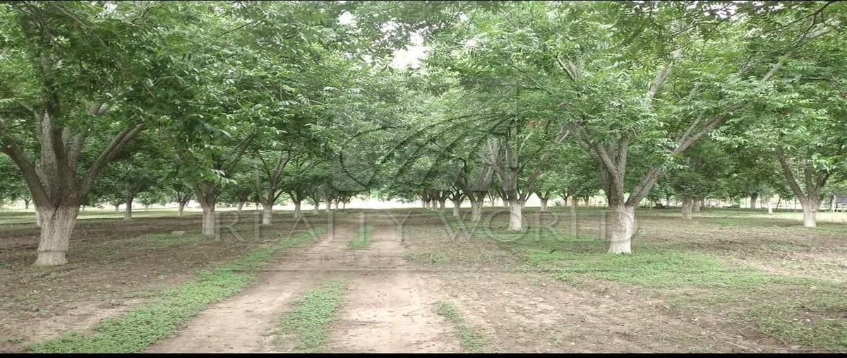 Foto de rancho en venta en  , higueras, higueras, nuevo león, 28104553 No. 04