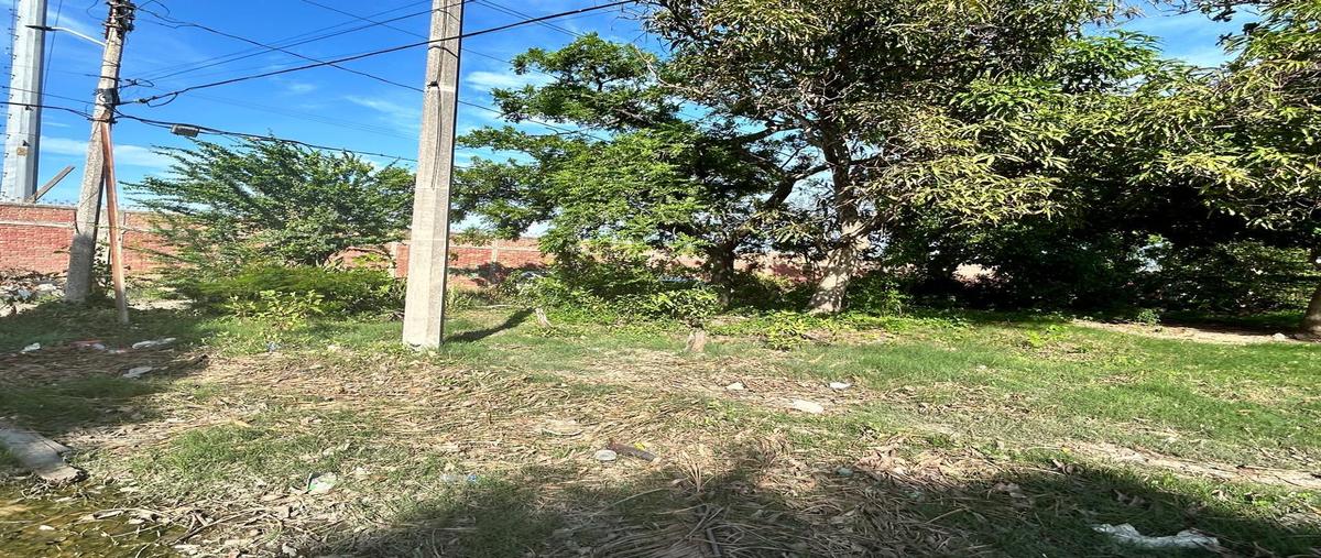 Foto de terreno habitacional en , hipódromo, ciudad madero, tamaulipas, 0 foto 01 Foto de terreno habitacional en venta en , hipódromo, ciudad madero, tamaulipas, 0 No. 01