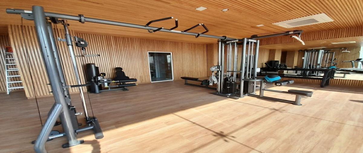 Foto de oficina en renta en  , hipódromo, cuauhtémoc, df / cdmx, 27974989 No. 03