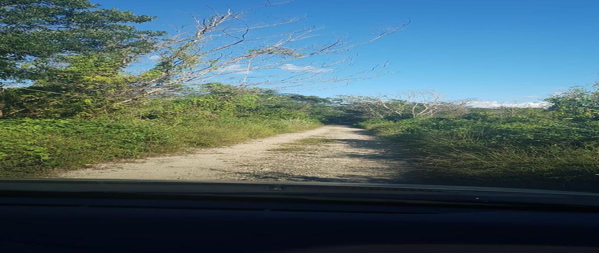 Foto de terreno habitacional en venta en  , hocaba, hocabá, yucatán, 25017755 No. 03