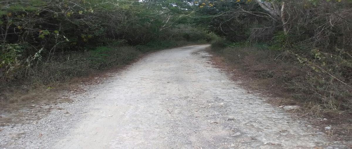 Foto de terreno habitacional en venta en  , hocaba, hocabá, yucatán, 25017755 No. 05