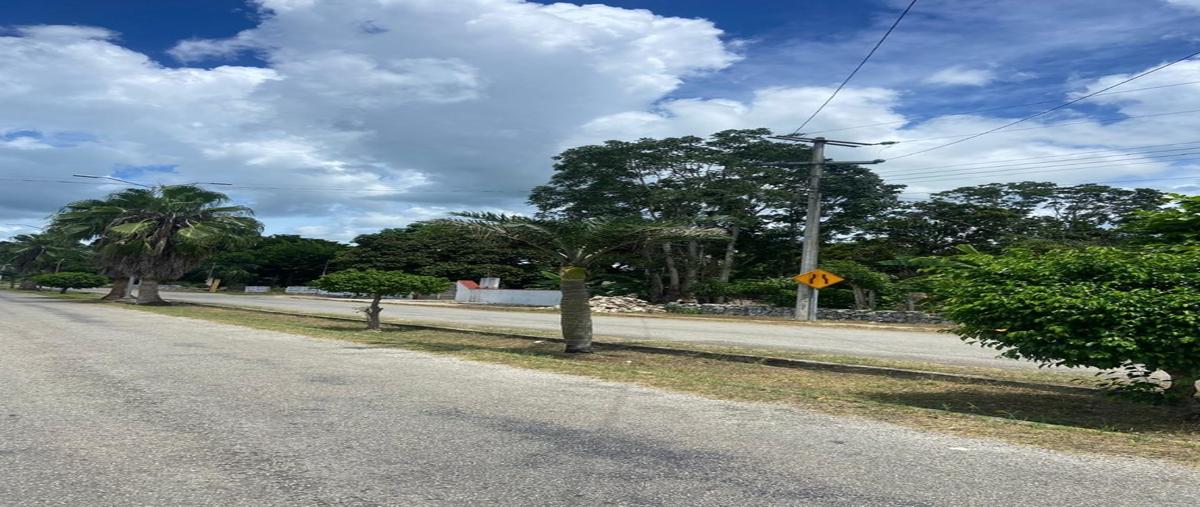 Foto de terreno habitacional en venta en  , hocaba, hocabá, yucatán, 0 No. 03