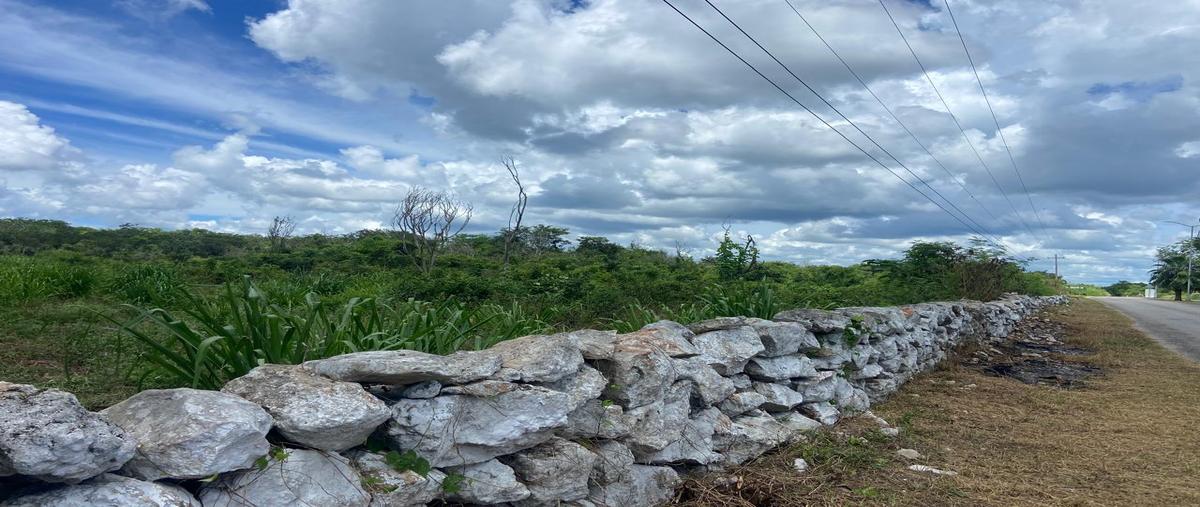 Foto de terreno habitacional en , hocaba, hocabá, yucatán, 28812155 foto 05 Foto de terreno habitacional en venta en , hocaba, hocabá, yucatán, 28812155 No. 05