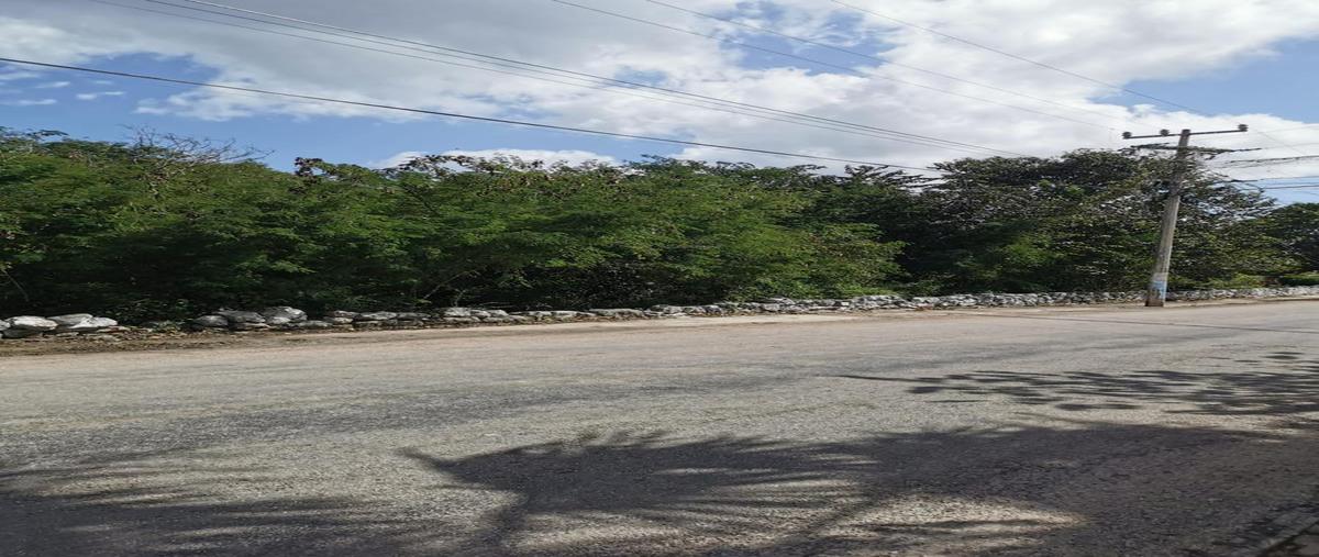 Foto de terreno habitacional en venta en  , hocaba, hocabá, yucatán, 0 No. 04