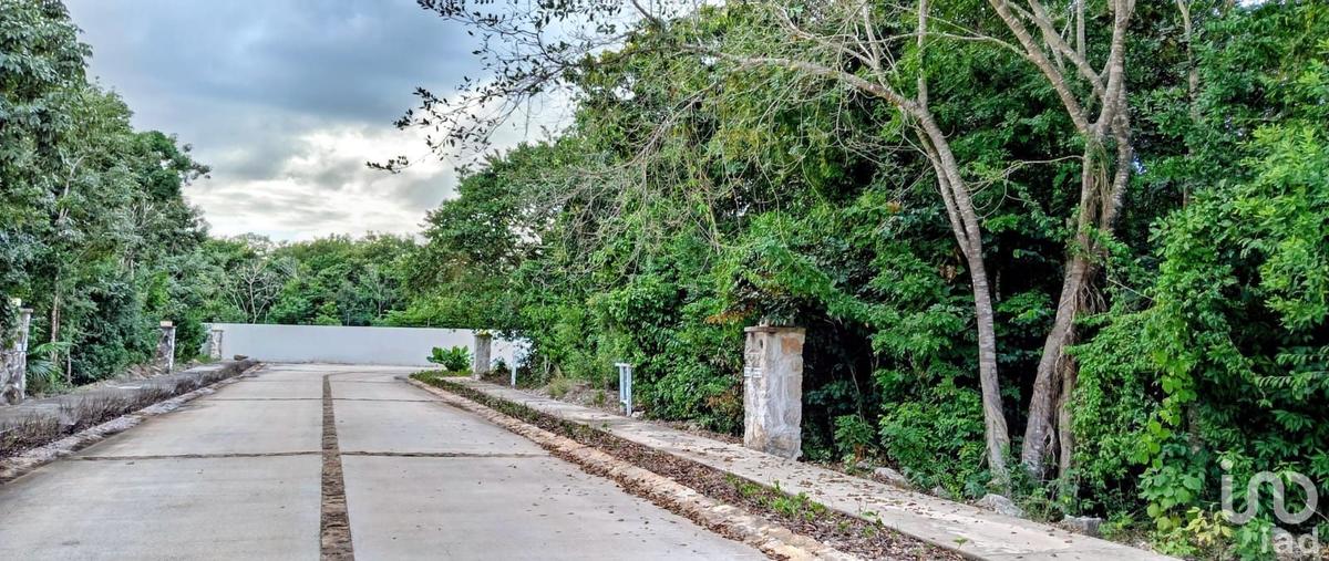 Foto de terreno habitacional en venta en holbox 84, los santos, benito juárez, quintana roo, 30822249 No. 04