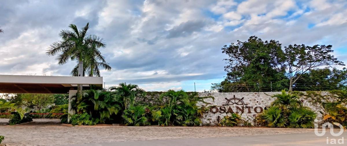 Foto de terreno habitacional en venta en holbox 99, los santos, benito juárez, quintana roo, 30822249 No. 03