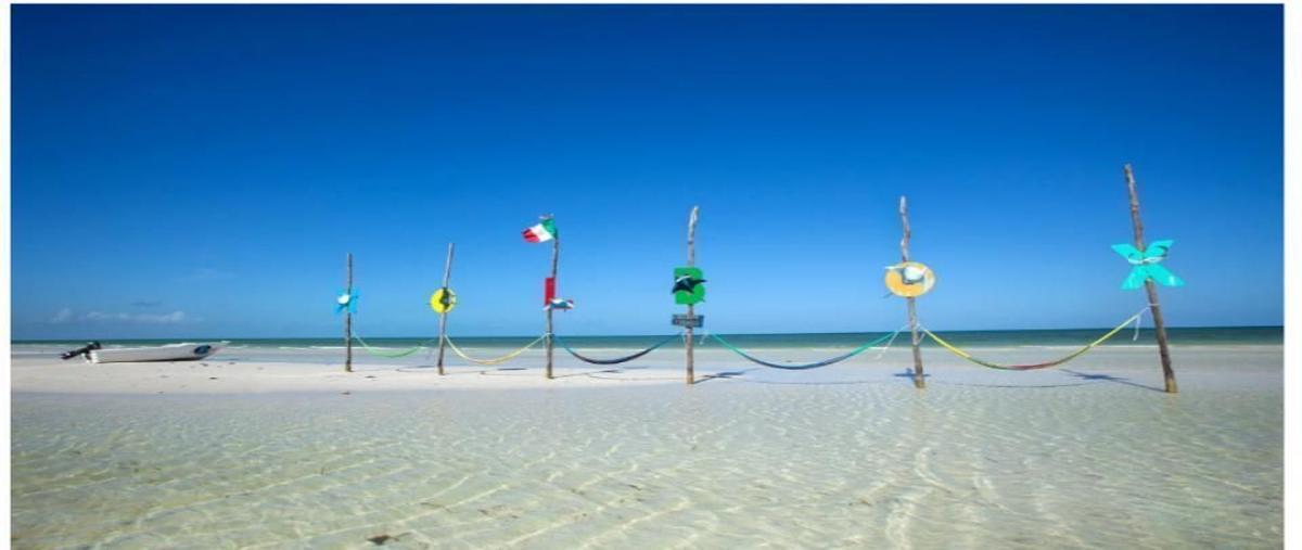 Foto de terreno habitacional en venta en holbox , isla de holbox, lázaro cárdenas, quintana roo, 26619520 No. 05