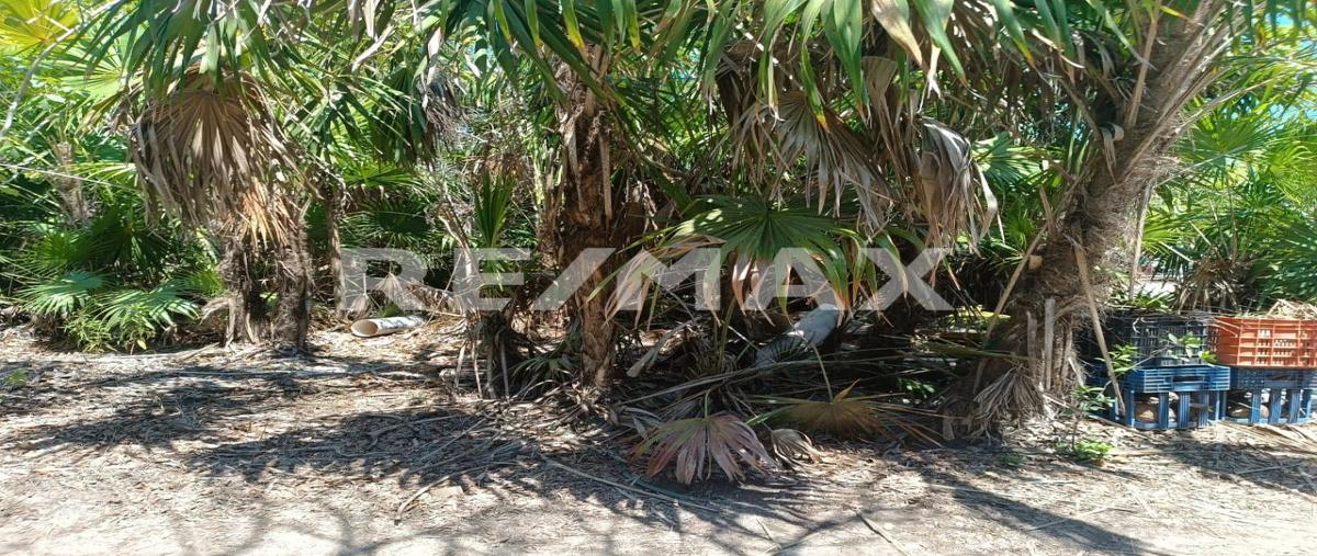Foto de terreno habitacional en venta en holbox , isla de holbox, lázaro cárdenas, quintana roo, 0 No. 04