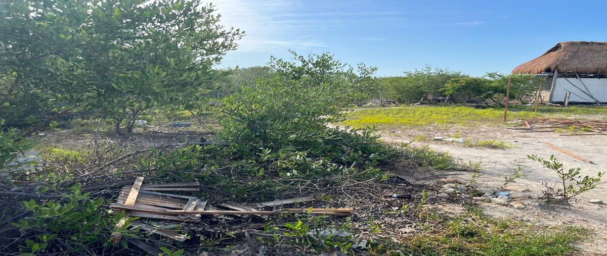 Foto de terreno habitacional en venta en holbox , isla de holbox, lázaro cárdenas, quintana roo, 0 No. 03