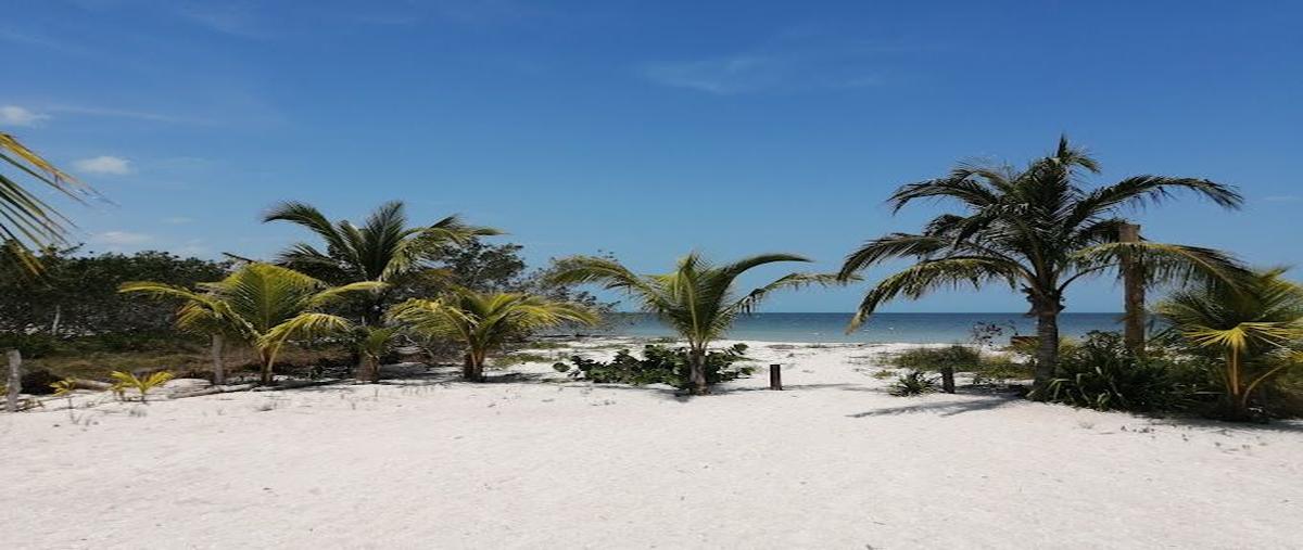 Foto de rancho en venta en holbox , sahop, othón p. blanco, quintana roo, 29993578 No. 05