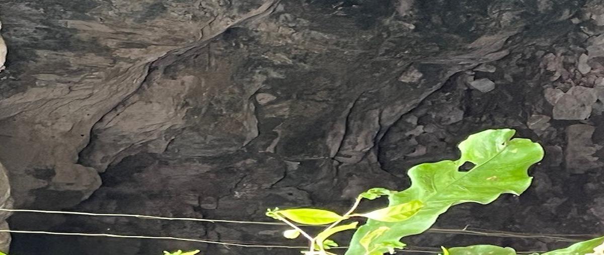 Foto de terreno habitacional en venta en  , holca, kantunil, yucatán, 0 No. 04