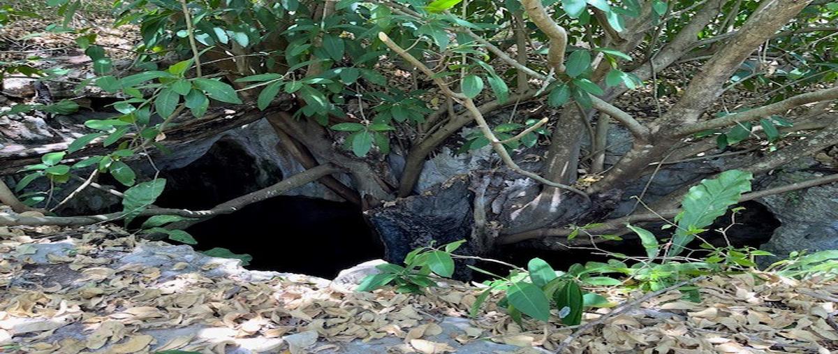 Foto de terreno habitacional en venta en  , holca, kantunil, yucatán, 28621514 No. 05