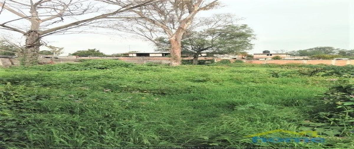 Foto de terreno habitacional en venta en hombres ilustres , pentecostés, texcoco, méxico, 16662851 No. 03