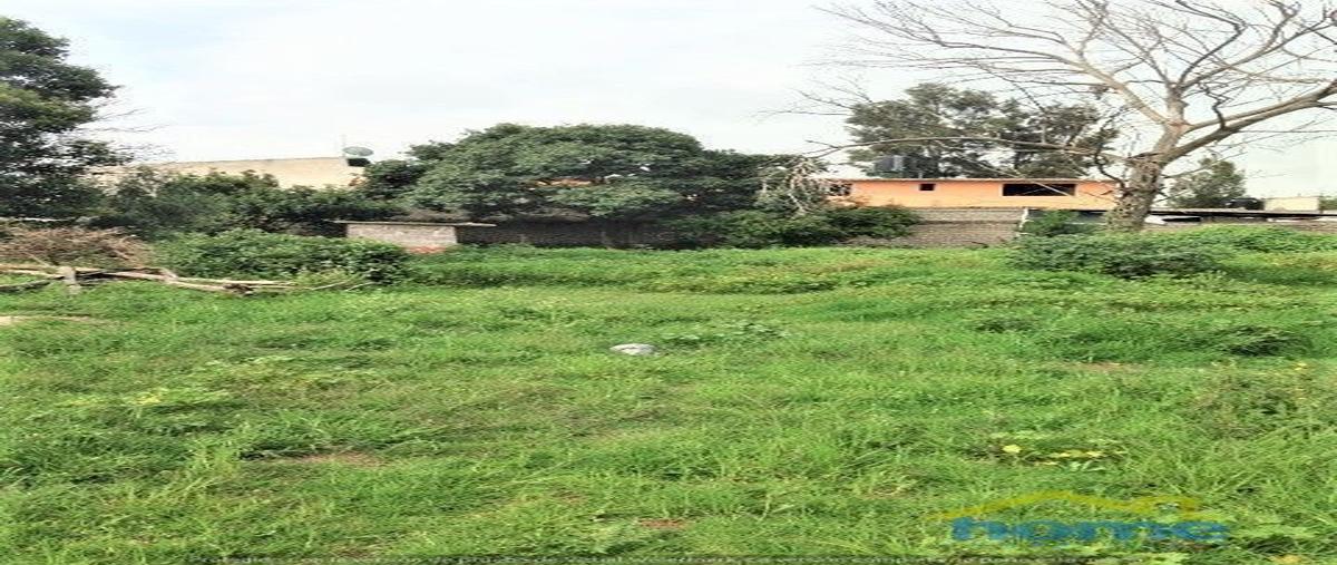 Foto de terreno habitacional en venta en hombres ilustres , pentecostés, texcoco, méxico, 16662851 No. 04