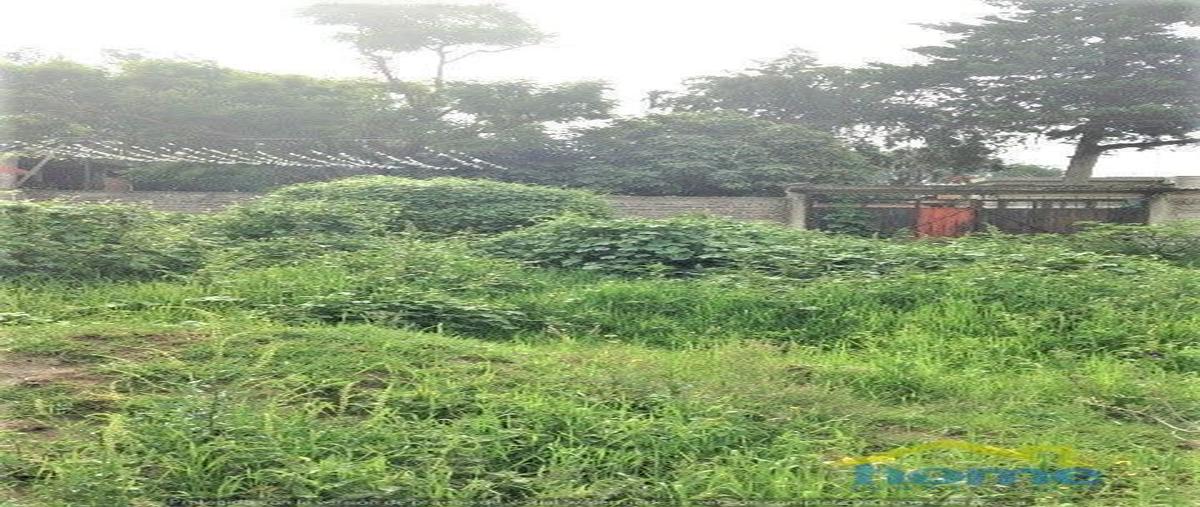 Foto de terreno habitacional en venta en hombres ilustres , pentecostés, texcoco, méxico, 16662851 No. 05