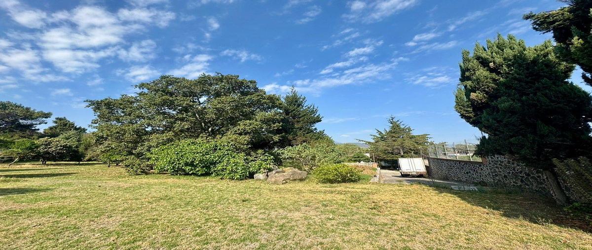 Foto de casa en venta en hombres ilustres , santa cecilia tepetlapa, xochimilco, df / cdmx, 31079556 No. 04