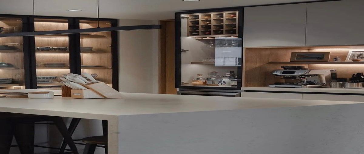 Foto de departamento en renta en homero , polanco iii sección, miguel hidalgo, df / cdmx, 0 No. 05