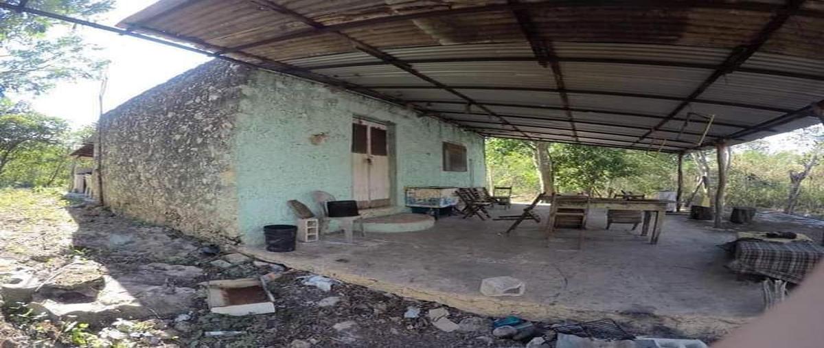 Foto de terreno habitacional en venta en  , homun, homún, yucatán, 24158322 No. 05