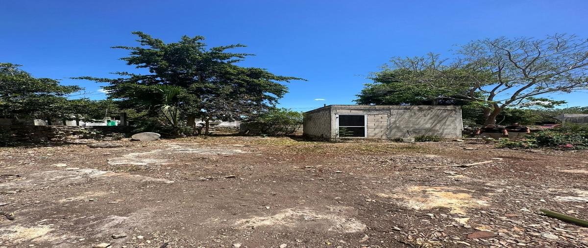 Foto de terreno habitacional en venta en  , homun, homún, yucatán, 0 No. 04
