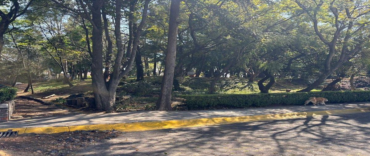 Foto de casa en venta en hondonada , jardines del pedregal, álvaro obregón, df / cdmx, 30971346 No. 03