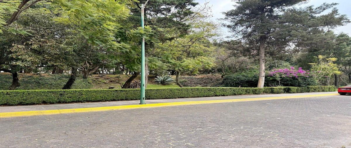 Foto de casa en hondonada , parque del pedregal, tlalpan, df / cdmx, 0 foto 03 Foto de casa en venta en hondonada , parque del pedregal, tlalpan, df / cdmx, 0 No. 03