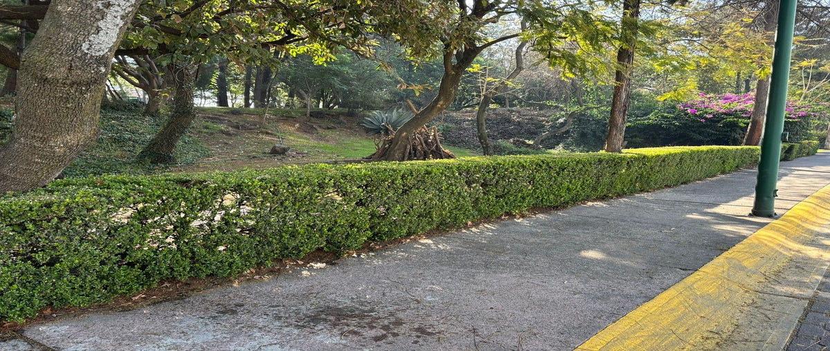 Foto de casa en venta en hondonada , parque del pedregal, tlalpan, df / cdmx, 30832130 No. 03