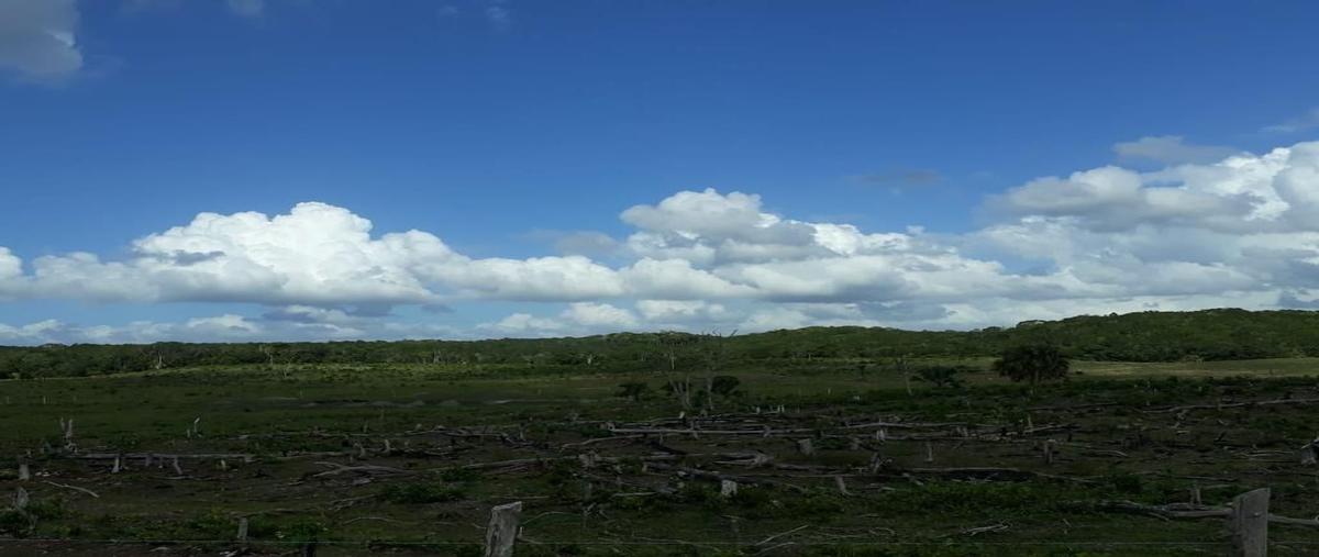 Foto de terreno habitacional en venta en  , hopelchen centro, hopelchén, campeche, 18402210 No. 03