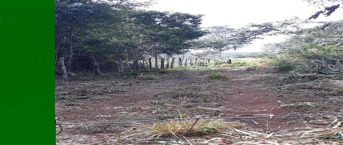 Foto de terreno habitacional en venta en  , hopelchen centro, hopelchén, campeche, 18402210 No. 05