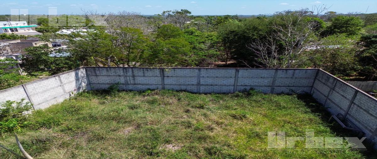 Foto de terreno habitacional en renta en  , hopelchen centro, hopelchén, campeche, 25866165 No. 03