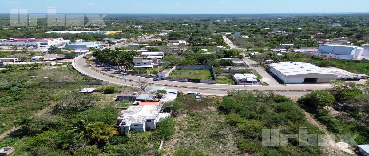 Foto de terreno habitacional en renta en  , hopelchen centro, hopelchén, campeche, 25866165 No. 05