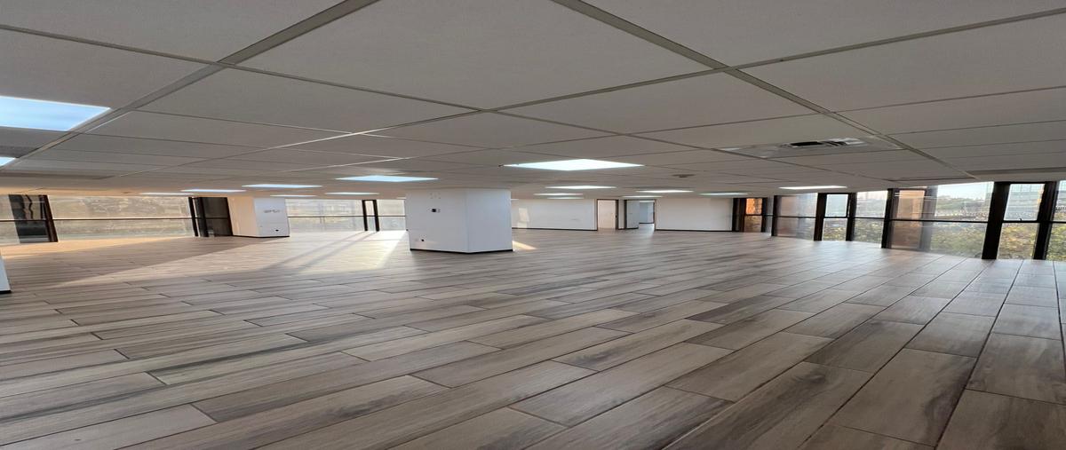 Foto de oficina en horacio , polanco i sección, miguel hidalgo, df / cdmx, 29457032 foto 02 Foto de oficina en renta en horacio , polanco i sección, miguel hidalgo, df / cdmx, 29457032 No. 02