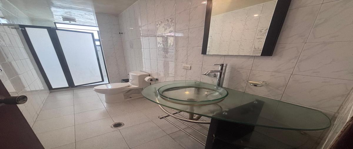 Foto de departamento en renta en horacio , polanco i sección, miguel hidalgo, df / cdmx, 0 No. 05
