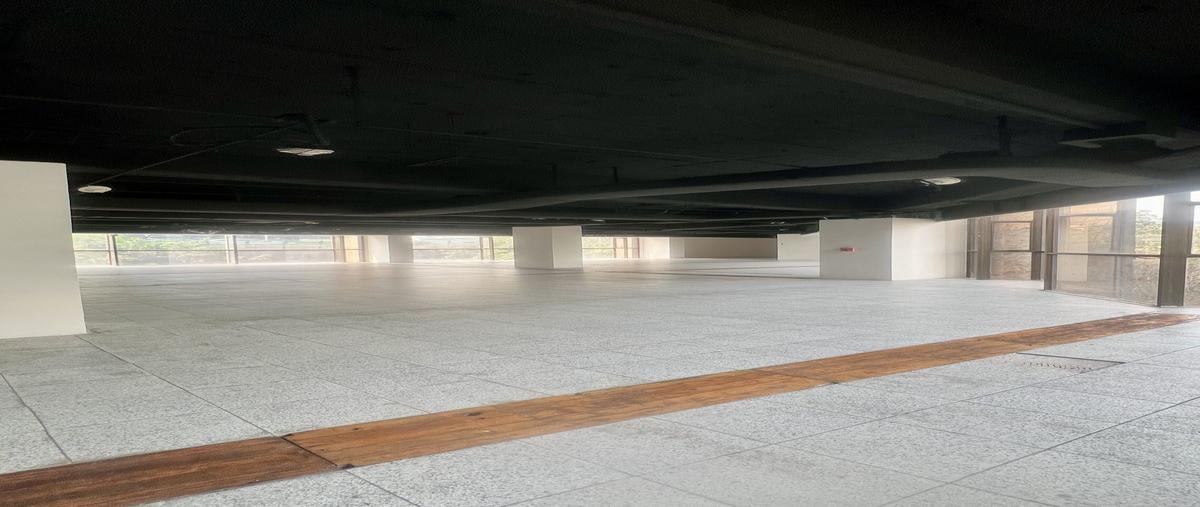 Foto de oficina en renta en horacio , polanco ii sección, miguel hidalgo, df / cdmx, 29339772 No. 04