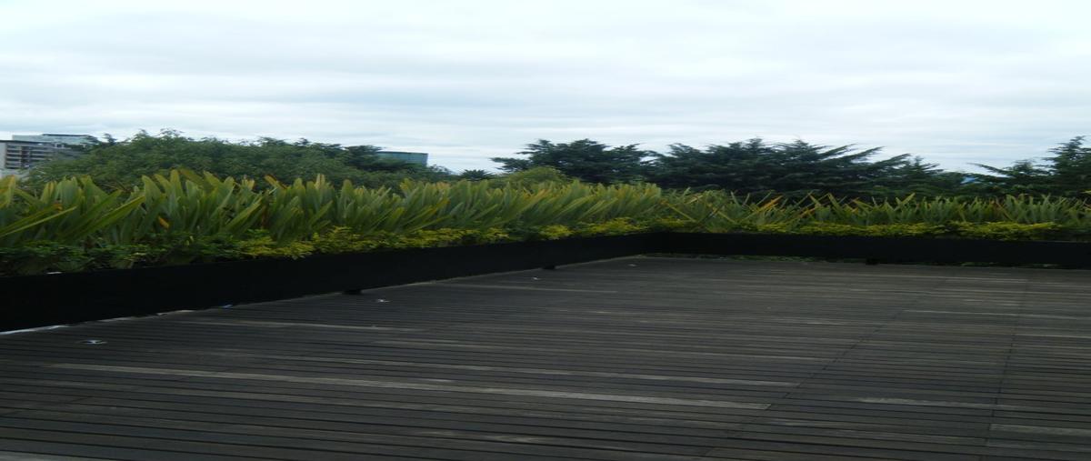 Foto de departamento en renta en horacio , polanco iv sección, miguel hidalgo, df / cdmx, 30284872 No. 03