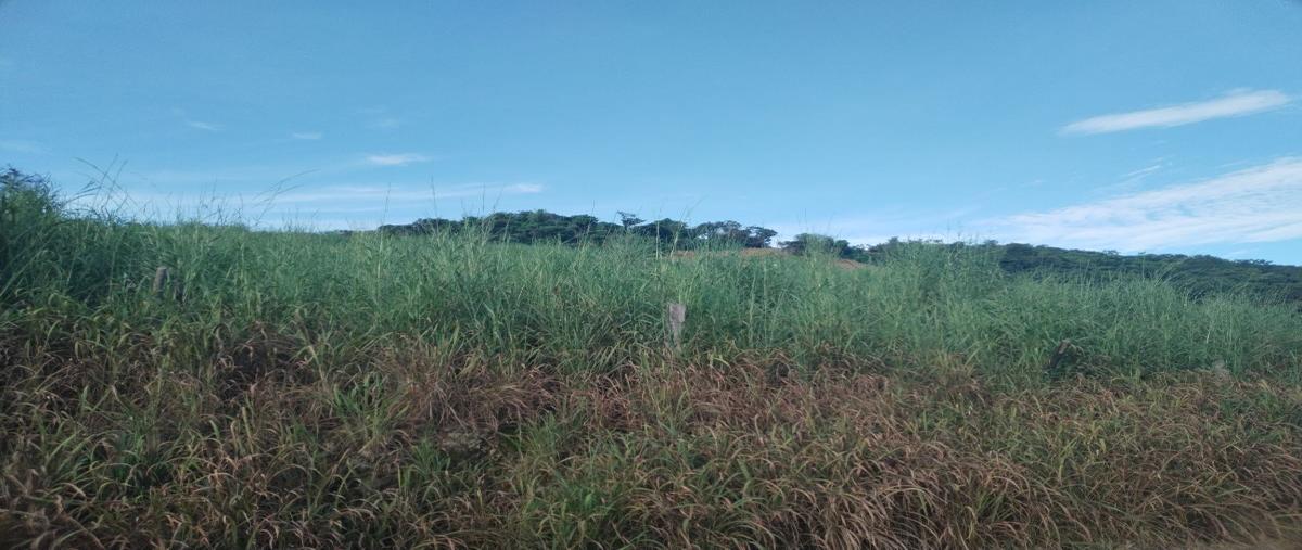 Foto de rancho en venta en horacio urbina , veinticuatro de diciembre, villa corzo, chiapas, 27548034 No. 03