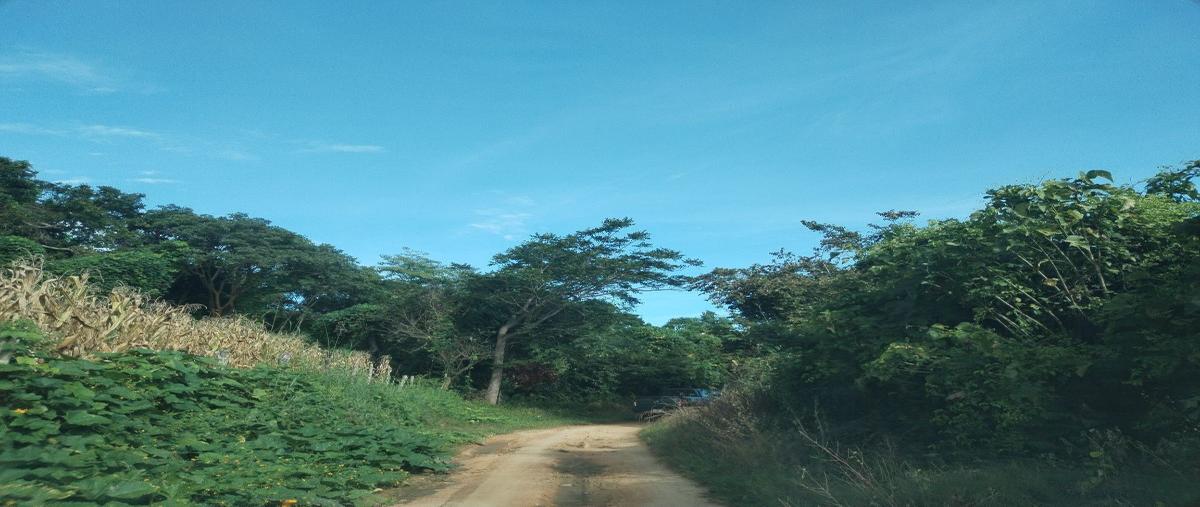 Foto de rancho en venta en horacio urbina , veinticuatro de diciembre, villa corzo, chiapas, 27548034 No. 05