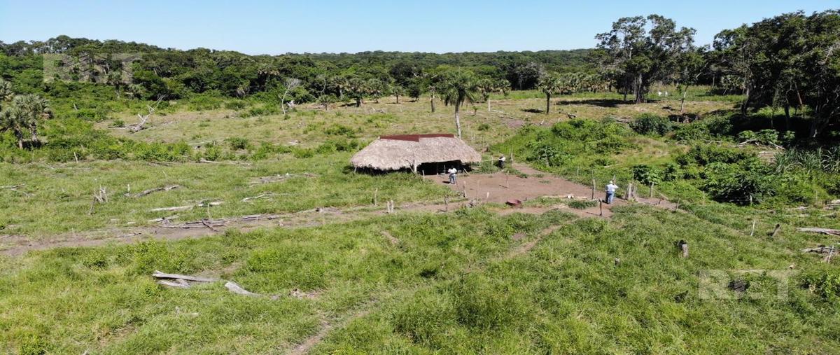 Foto de rancho en , horconcitos, tampico alto, veracruz de ignacio de la llave, 0 foto 03 Foto de rancho en venta en , horconcitos, tampico alto, veracruz de ignacio de la llave, 0 No. 03