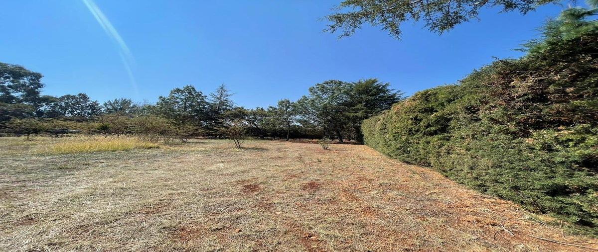 Foto de terreno habitacional en horizonte , atemajac de brizuela, atemajac de brizuela, jalisco, 0 foto 02 Foto de terreno habitacional en venta en horizonte , atemajac de brizuela, atemajac de brizuela, jalisco, 0 No. 02