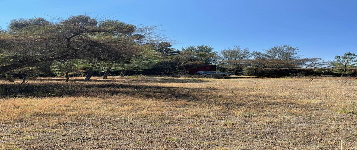 Foto de terreno habitacional en horizonte , atemajac de brizuela, atemajac de brizuela, jalisco, 0 foto 08 Foto de terreno habitacional en venta en horizonte , atemajac de brizuela, atemajac de brizuela, jalisco, 0 No. 08