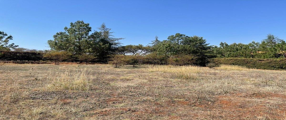 Foto de terreno habitacional en horizonte , atemajac de brizuela, atemajac de brizuela, jalisco, 0 foto 11 Foto de terreno habitacional en venta en horizonte , atemajac de brizuela, atemajac de brizuela, jalisco, 0 No. 11