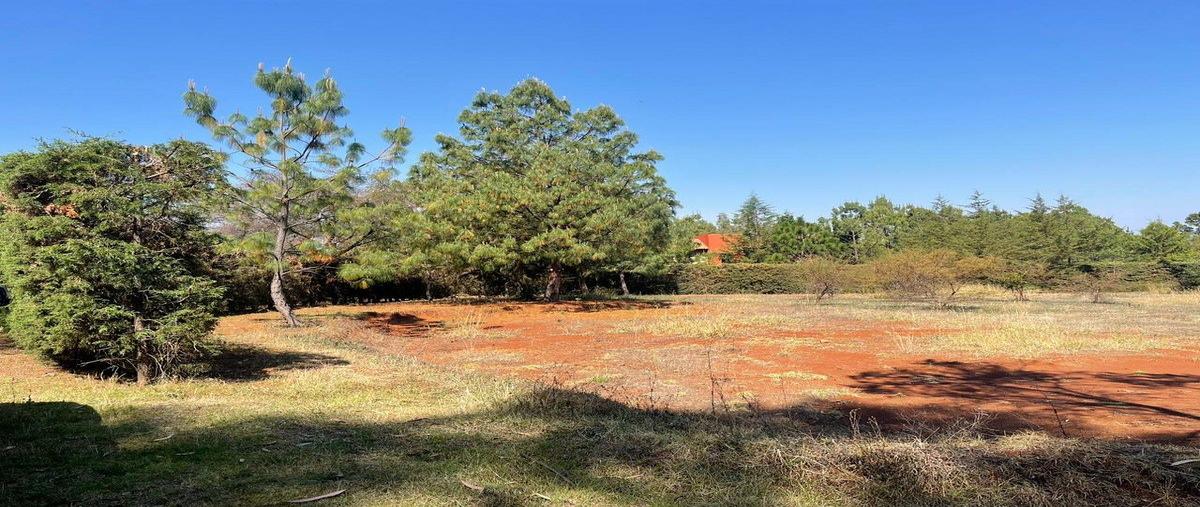 Foto de terreno habitacional en horizonte , atemajac de brizuela, atemajac de brizuela, jalisco, 0 foto 12 Foto de terreno habitacional en venta en horizonte , atemajac de brizuela, atemajac de brizuela, jalisco, 0 No. 12