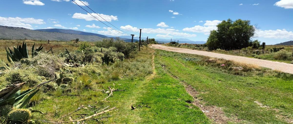 Foto de terreno habitacional en venta en  , huachichil, arteaga, coahuila de zaragoza, 0 No. 04