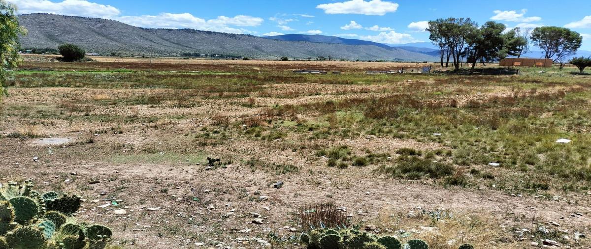 Foto de terreno habitacional en venta en  , huachichil, arteaga, coahuila de zaragoza, 0 No. 05