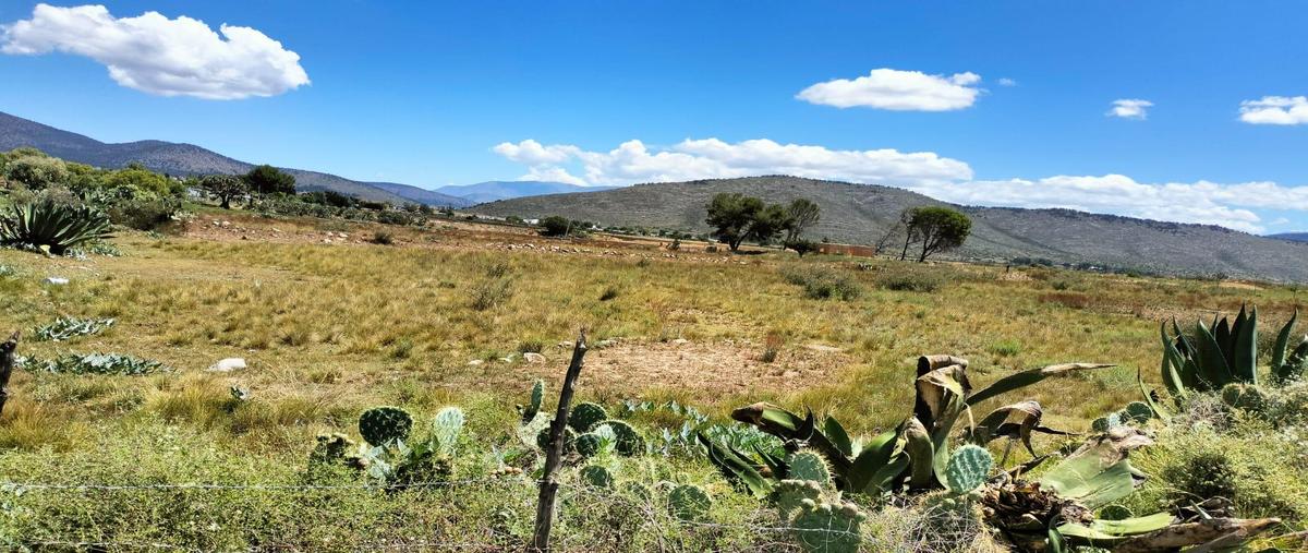 Foto de terreno habitacional en venta en  , huachichil, arteaga, coahuila de zaragoza, 0 No. 03