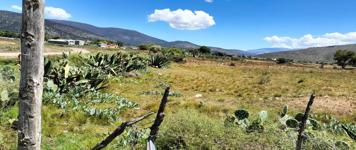 Foto de terreno habitacional en venta en  , huachichil, arteaga, coahuila de zaragoza, 0 No. 04