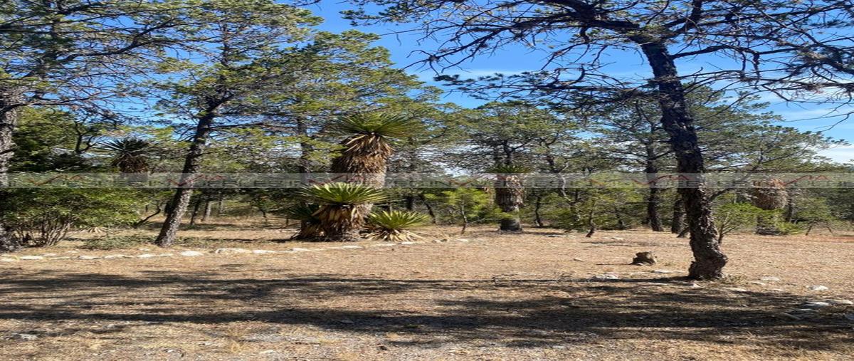 Foto de rancho en , huachichil, arteaga, coahuila de zaragoza, 0 foto 02 Foto de rancho en venta en , huachichil, arteaga, coahuila de zaragoza, 0 No. 02