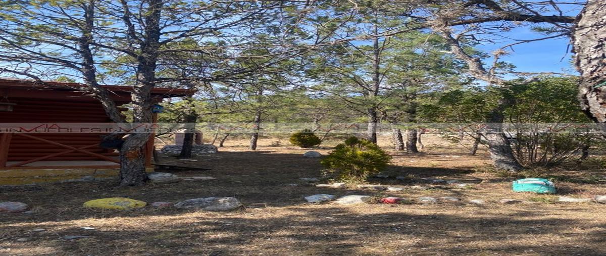 Foto de rancho en , huachichil, arteaga, coahuila de zaragoza, 0 foto 04 Foto de rancho en venta en , huachichil, arteaga, coahuila de zaragoza, 0 No. 04