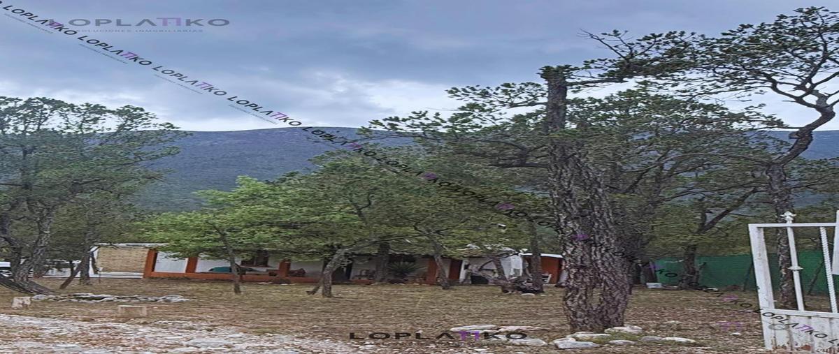 Foto de casa en venta en  , huachichil, arteaga, coahuila de zaragoza, 0 No. 04