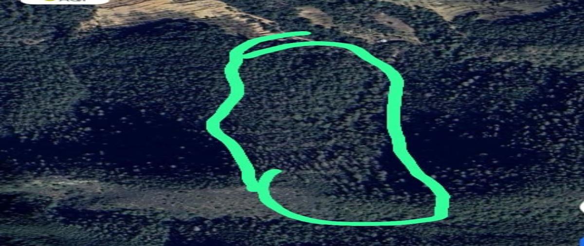 Foto de terreno habitacional en huachichil , ejidal, arteaga, coahuila de zaragoza, 29477108 foto 01 Foto de terreno habitacional en venta en huachichil , ejidal, arteaga, coahuila de zaragoza, 29477108 No. 01